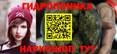 PSILOCYBIN Можга