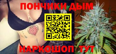 PSILOCYBIN Можга