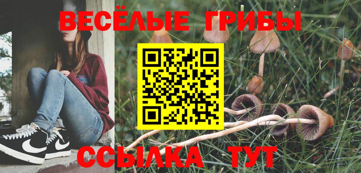 Галлюциногенные грибы мицелий Тимашёвск