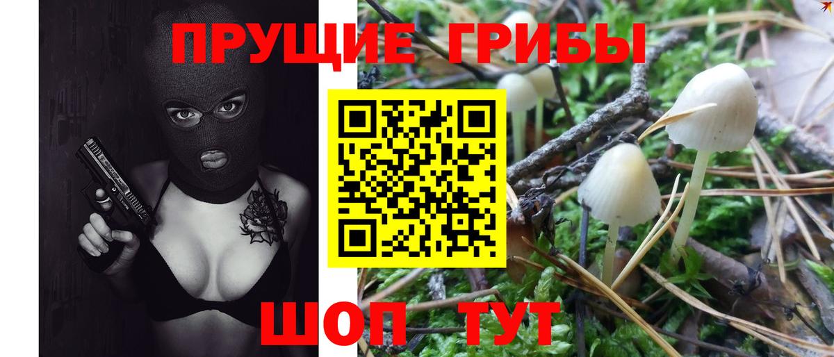 Псилоцибиновые грибы мухоморы  Вход с VPN  Тимашёвск 